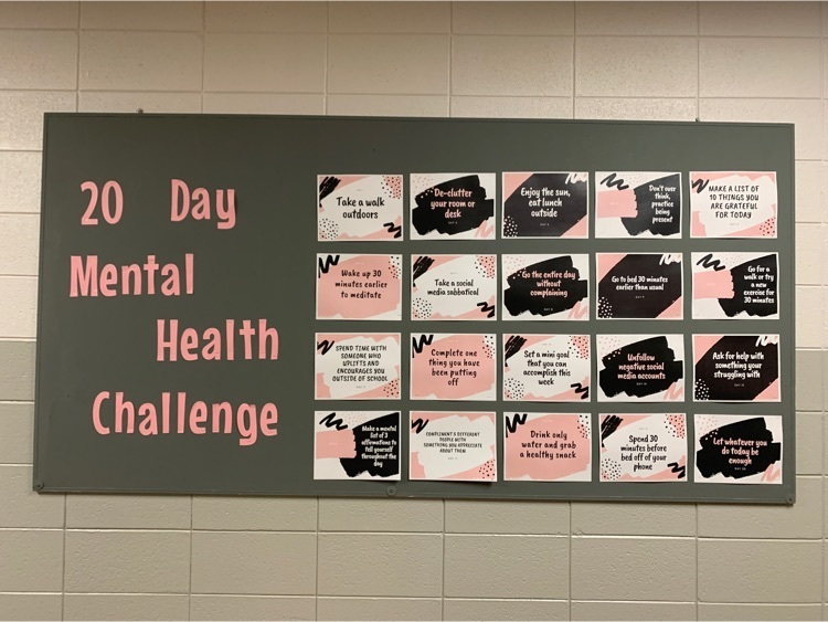 20 Day Mental Health Challenge